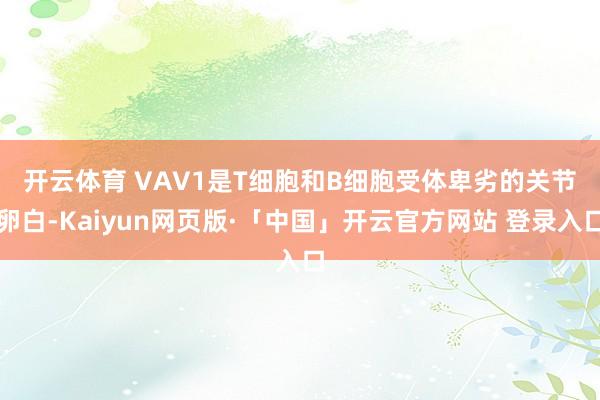 开云体育 VAV1是T细胞和B细胞受体卑劣的关节卵白-Kaiyun网页版·「中国」开云官方网站 登录入口